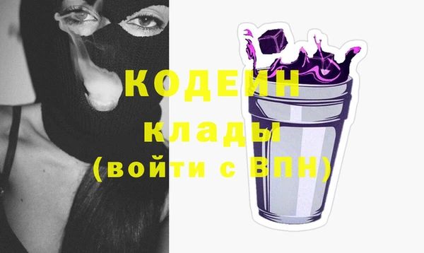 индика Богданович