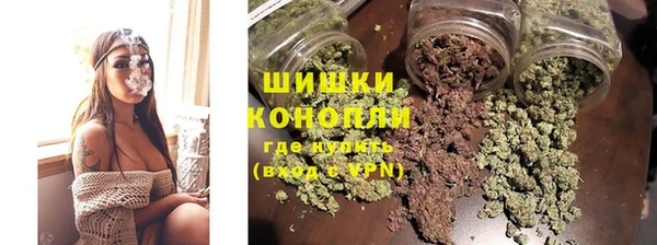 крисы Ахтубинск
