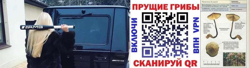 сколько стоит  Дагестанские Огни  Галлюциногенные грибы Psilocybine cubensis 